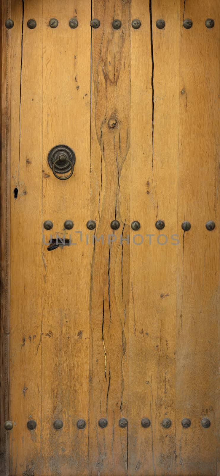 old wooden door with wrought iron rivets by Sergii