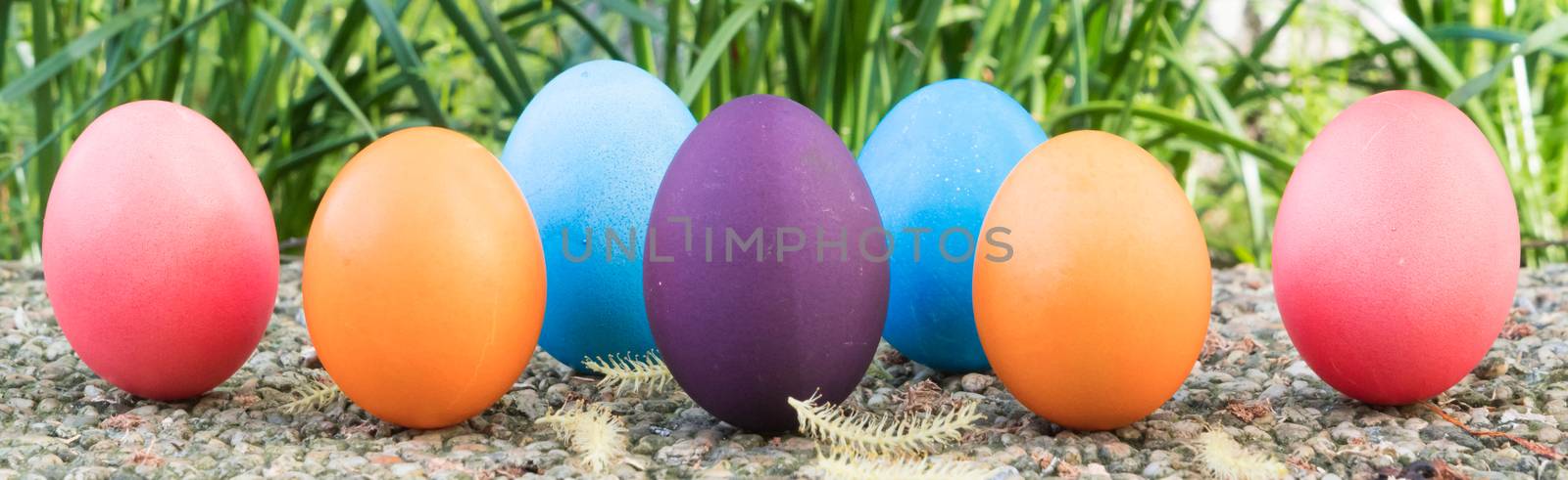 Easter egg ! happy colorful Easter sunday hunt holiday decoratio by psodaz