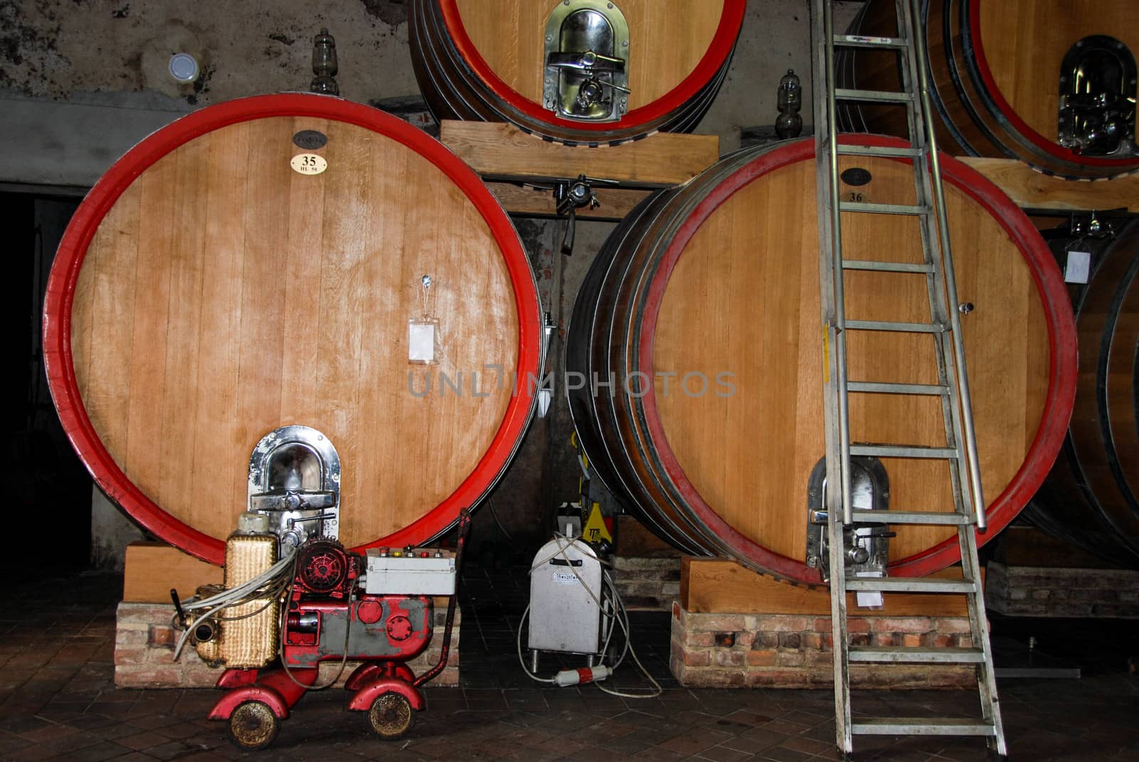 Barrels in a wine cellar by cosca