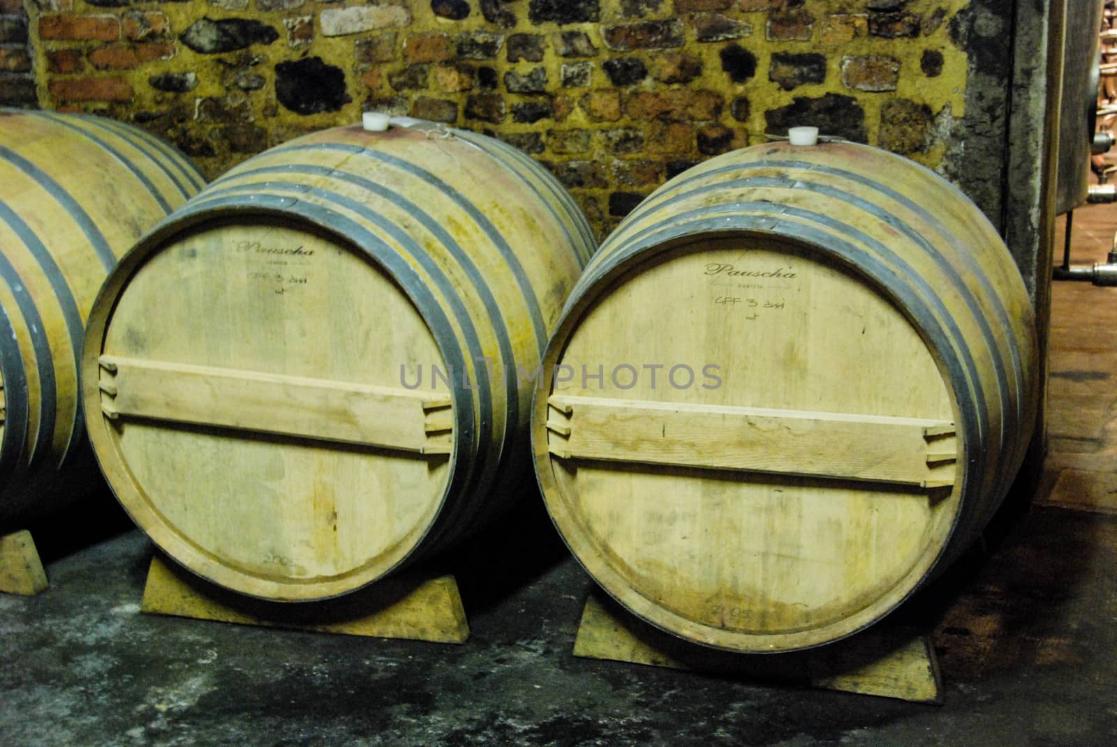 Barrels in a wine cellar by cosca