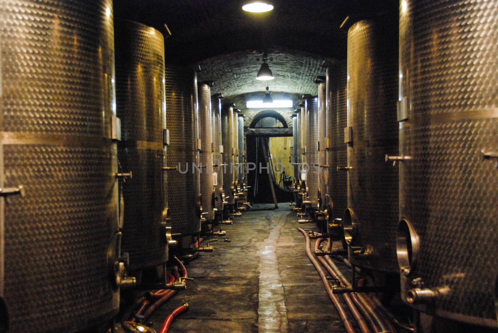 Barrels in a wine cellar by cosca