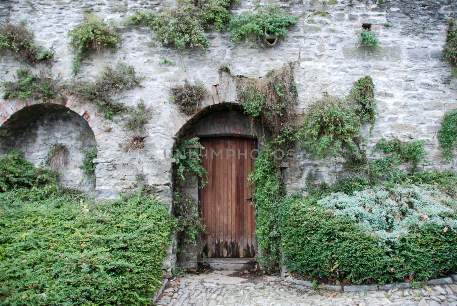 Old door of the Castle Serralunga d'Alba by cosca