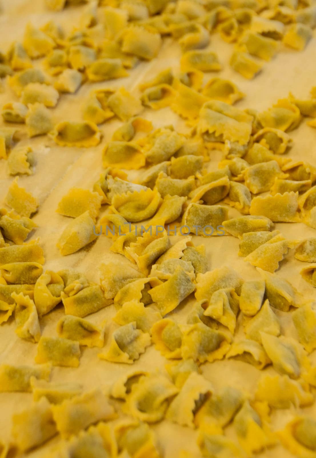 Agnolotti: home made pasta of the Langhe, Piedmont - Italy