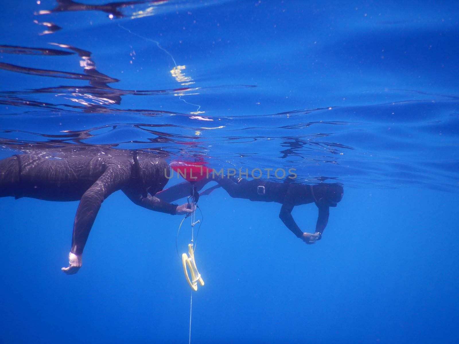 Free diving in the sea at Noli, Liguria - Italy