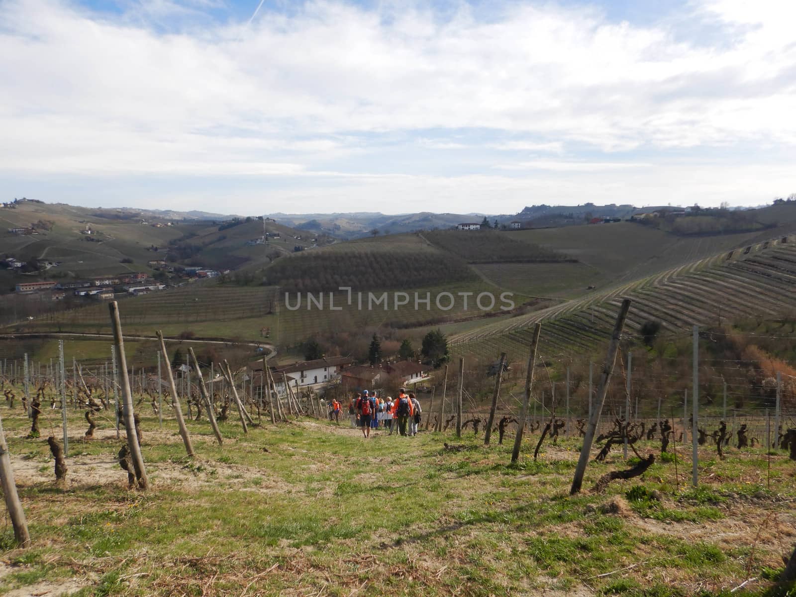 Langhe hills with people taking a walk
