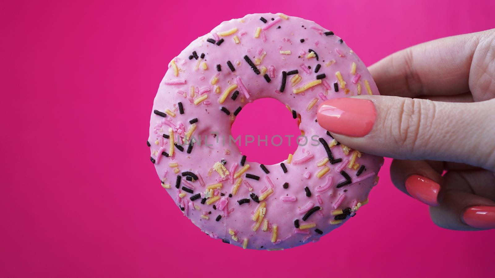 Woman holding pink sweet donut on pink background. Pink donut in hand