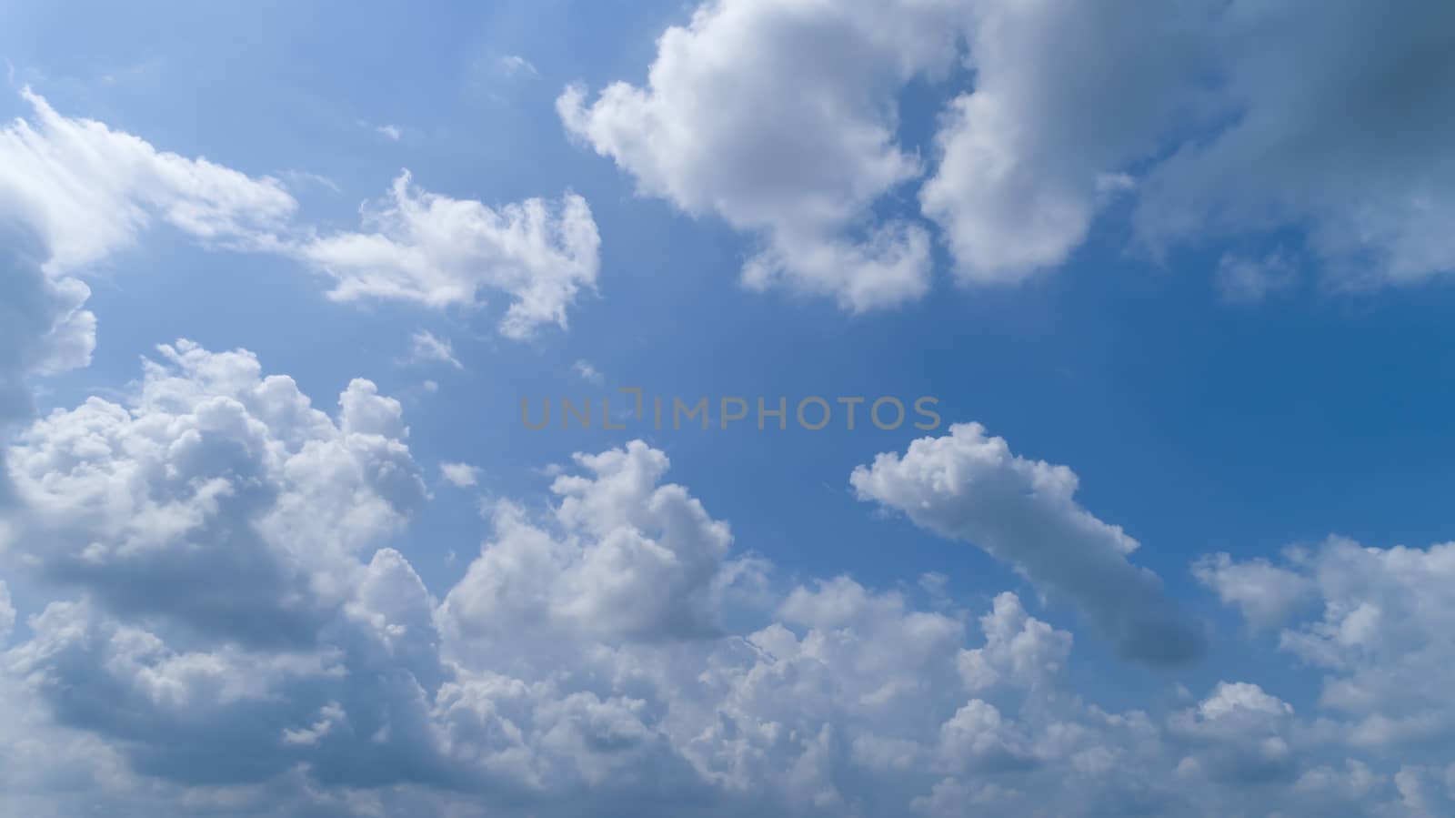 White Fluffy Clouds Floating in the Bright Blue Skies on a Summer Day