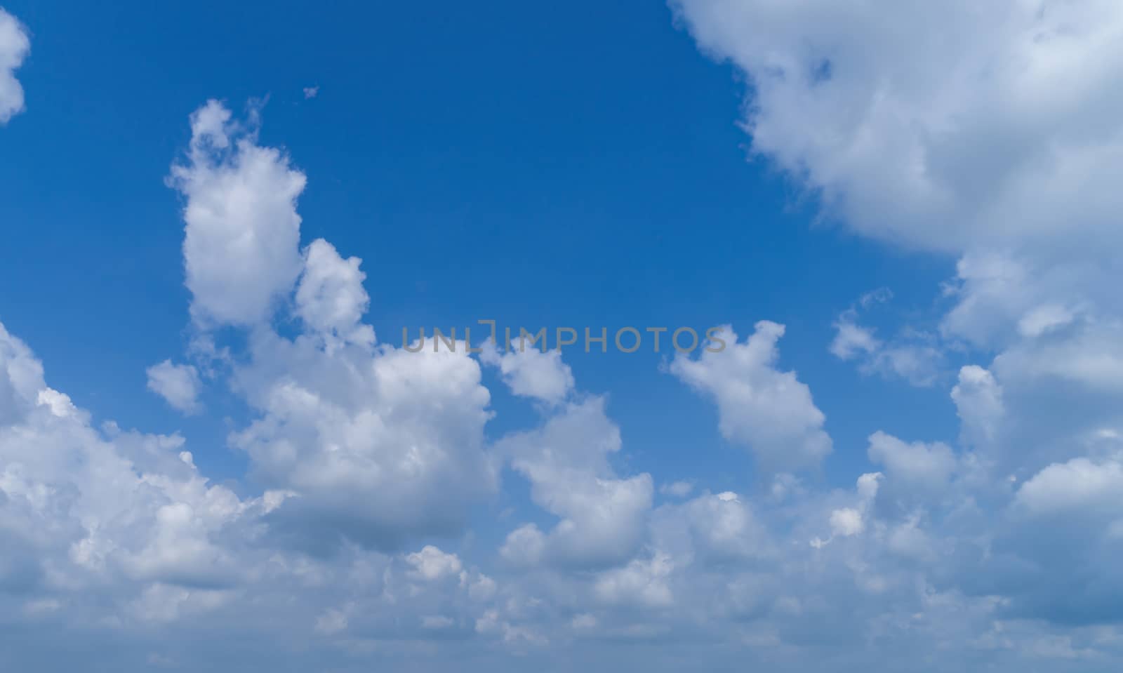 White Fluffy Clouds Floating in the Bright Blue Skies on a Summer Day