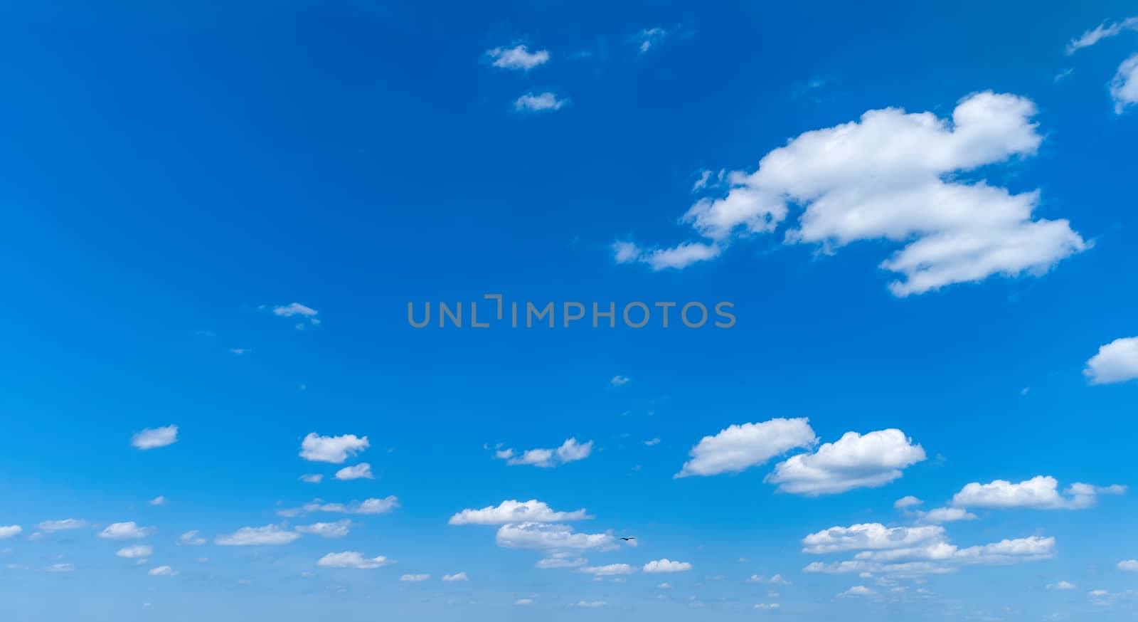 White Fluffy Clouds Floating in the Bright Blue Skies on a Summer Day
