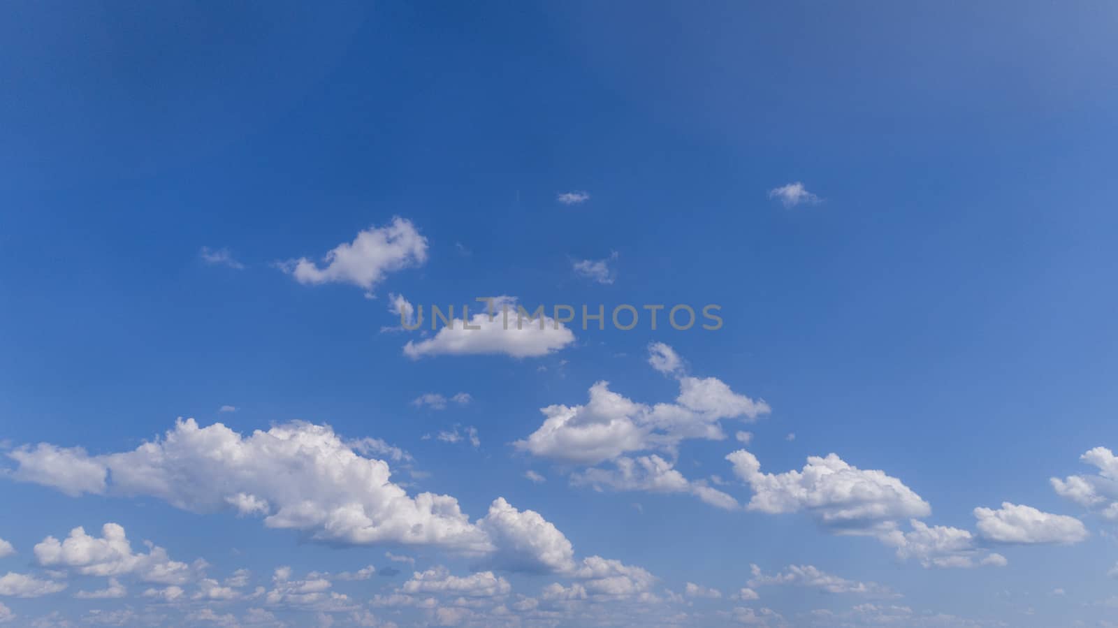 White Fluffy Clouds Floating in the Bright Blue Skies on a Summer Day