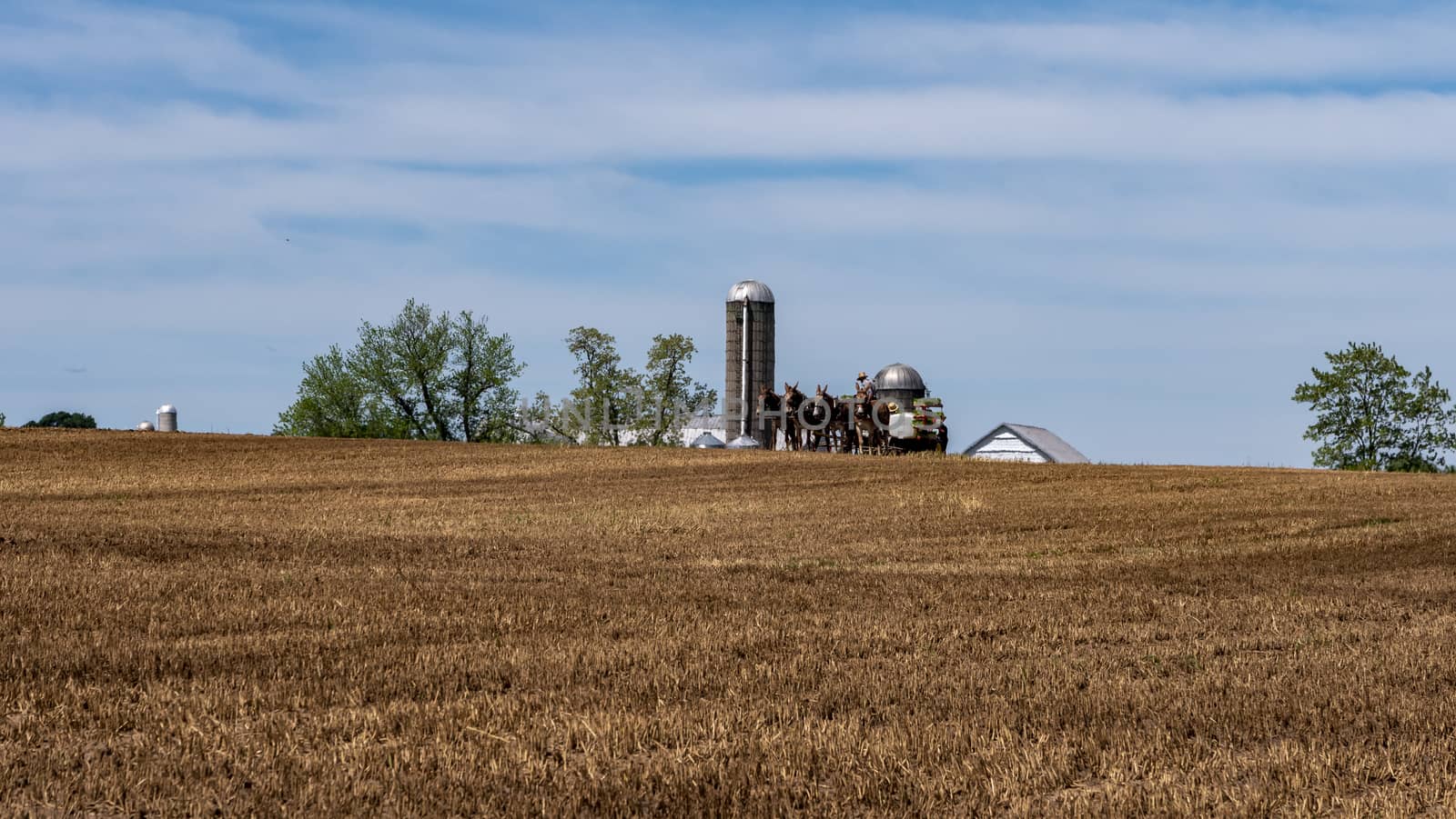 Amish Farmers Planting with 4 Horses on a Hill on a Sunny Spring Day