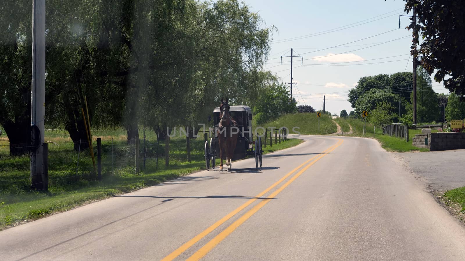 View of an Amish Horse and Buggy Going down the Road on a Sunny Day