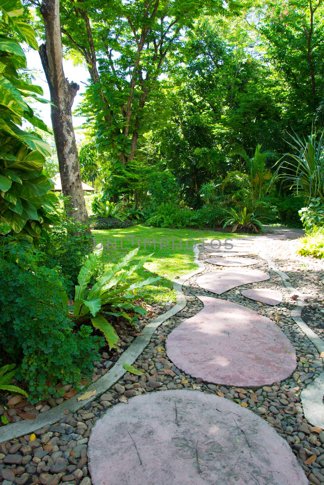 Landscaping in the garden. The path in the garden