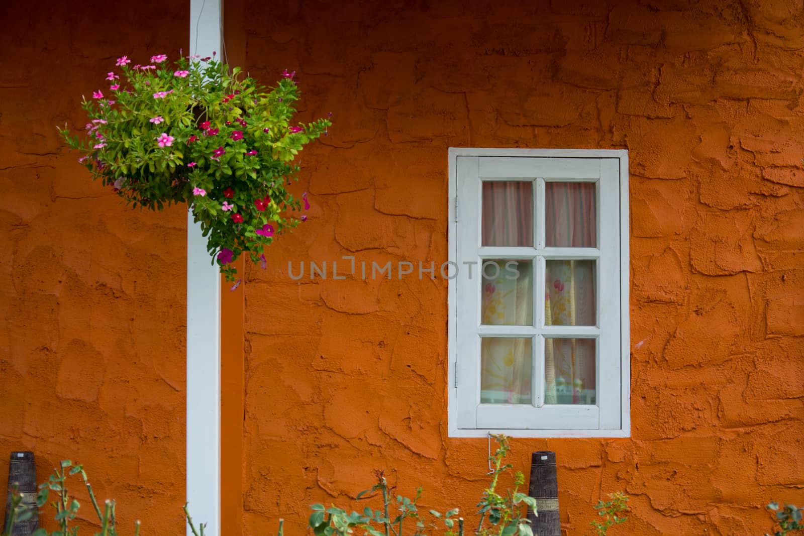 Window With Flower Basket On Orange Wall