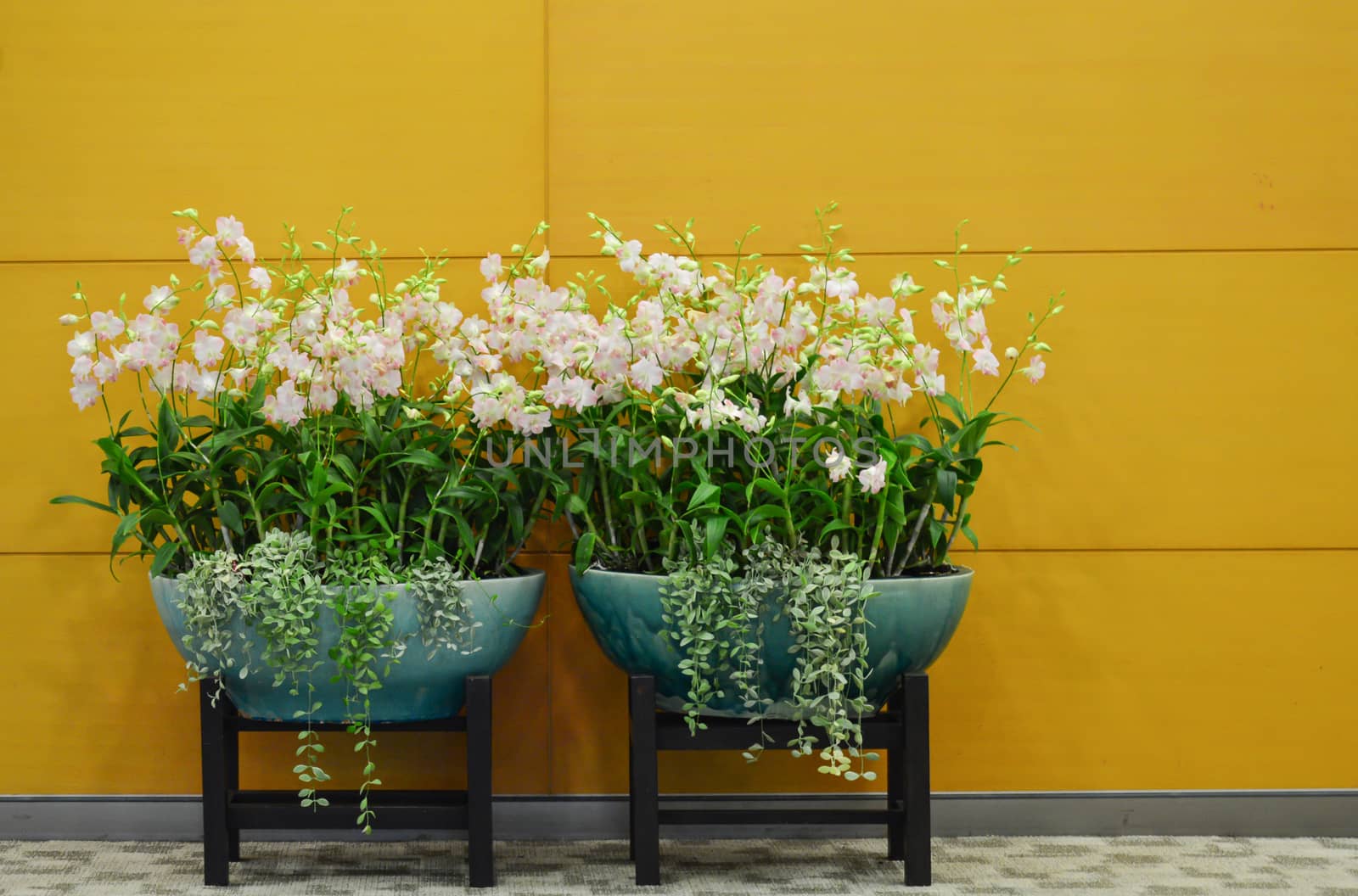 modern mixed flower composition