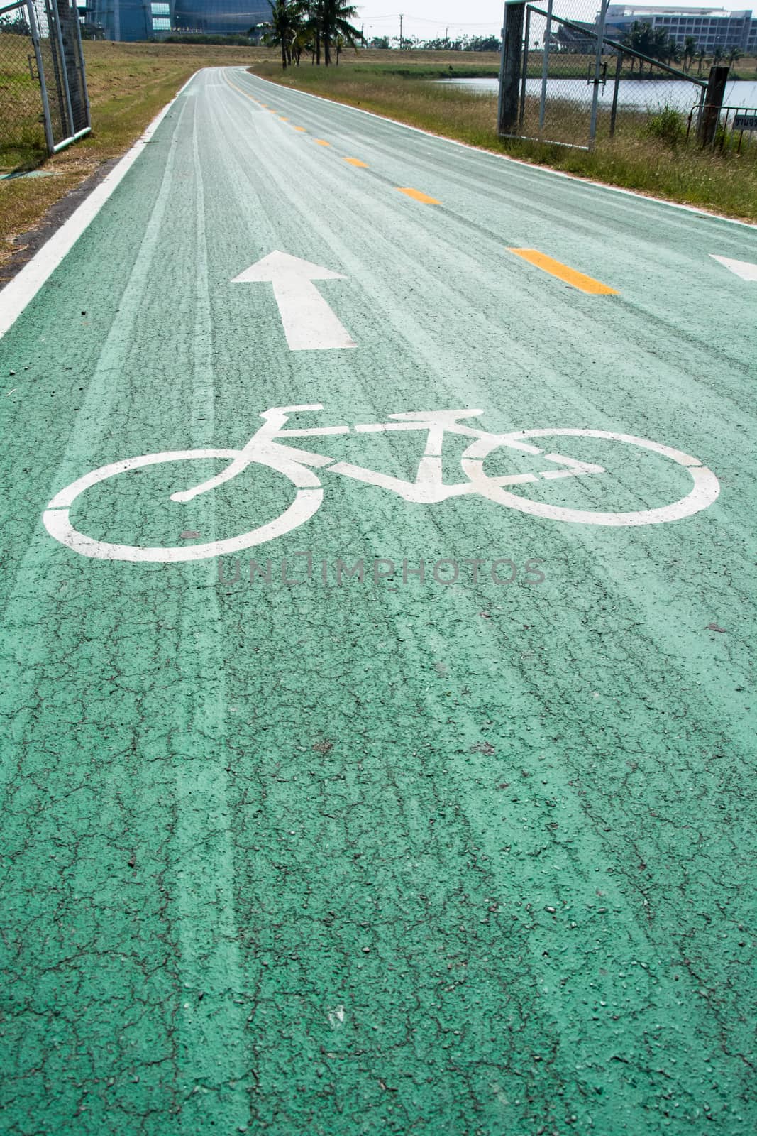 Green bike lanes Healthy Lifestyle