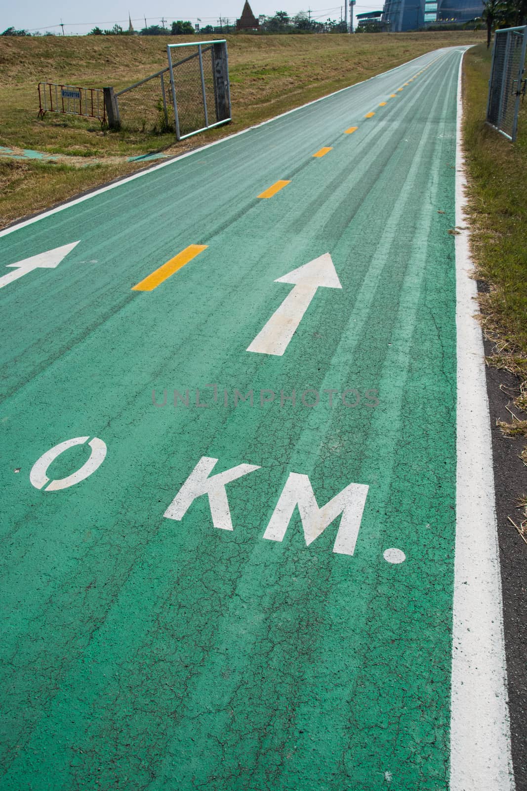 Green bike lanes Healthy Lifestyle