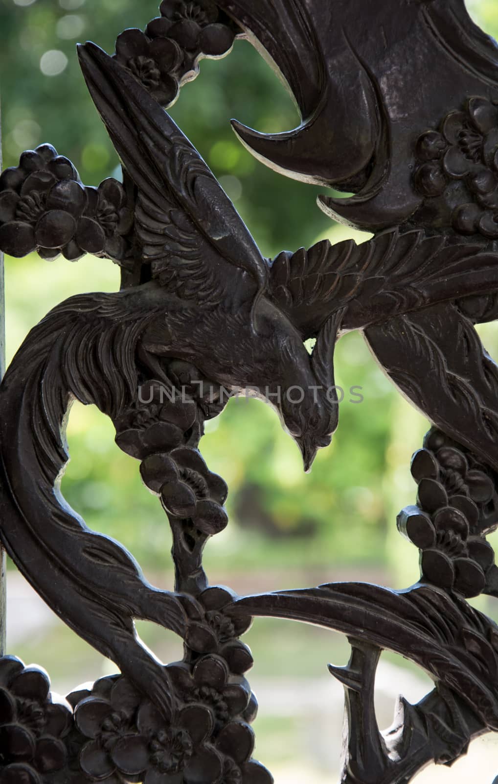 Carved wooden door detail of bird
