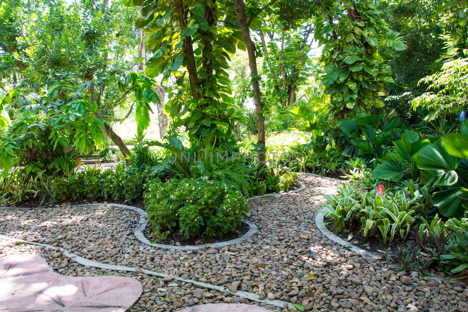 Landscaping in the garden. The path in the garden