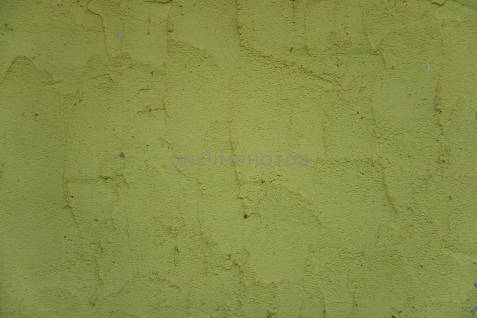 Olive wall texture