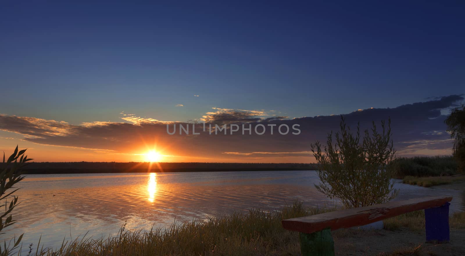 The bright rising sun illuminates the coastal grass, an old wooden bench and bushes growing on the river bank