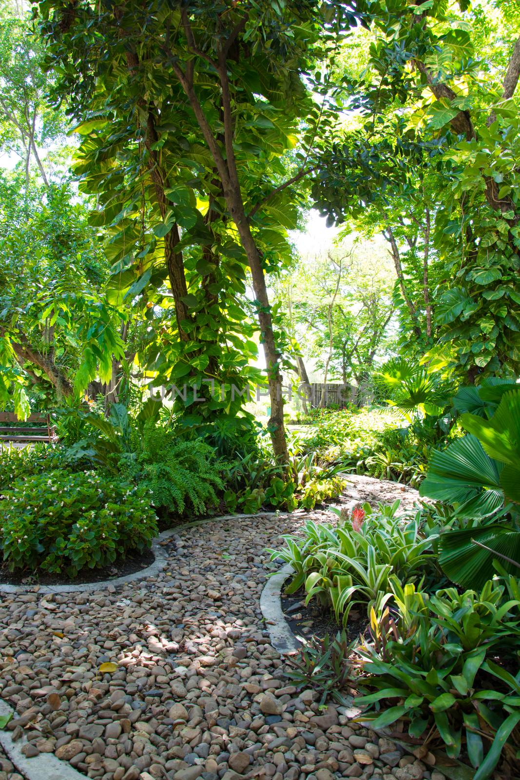 Landscaping in the garden. The path in the garden