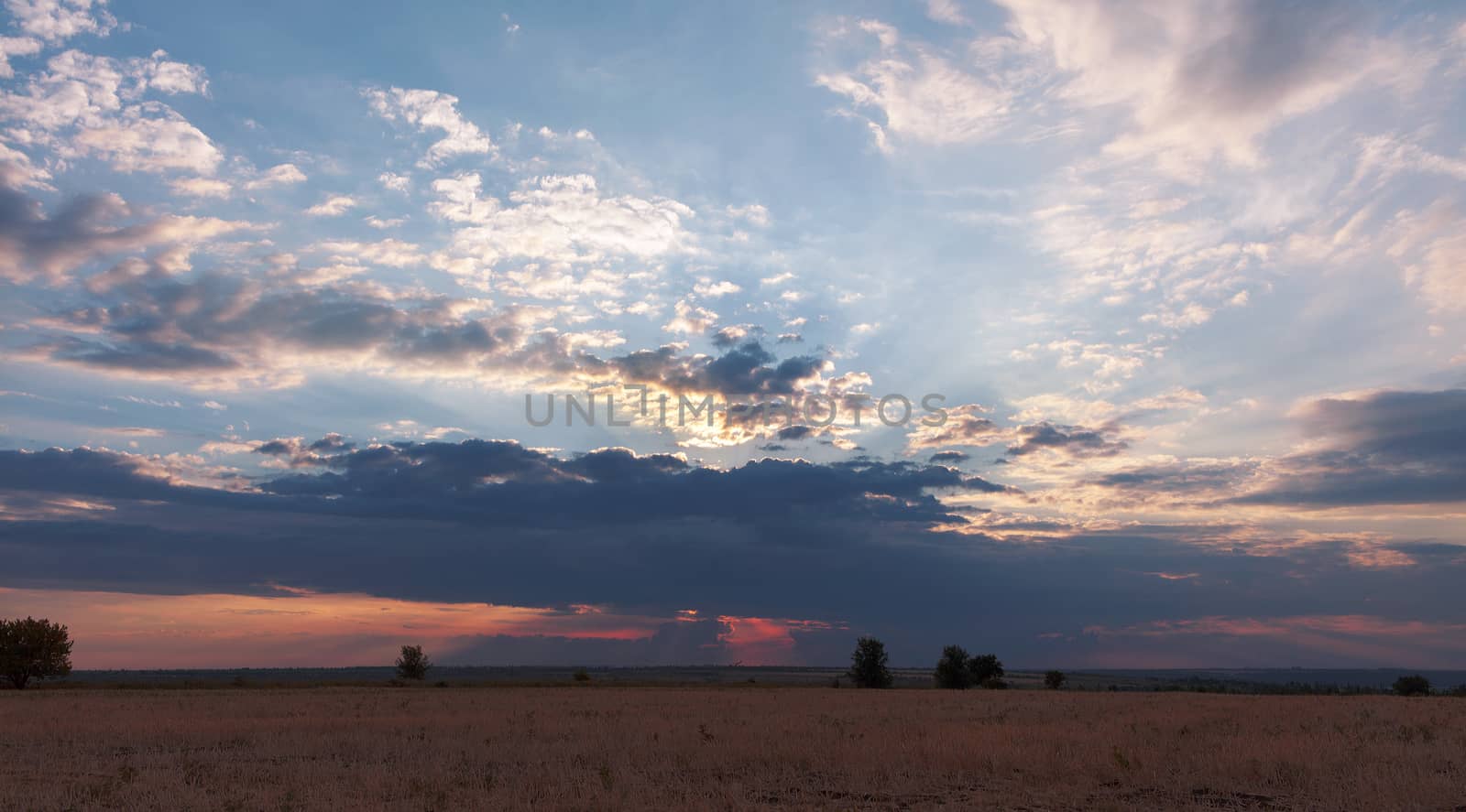 A very large storm cloud in the sunlight closed the turning sun over the yellow field in the late afternoon