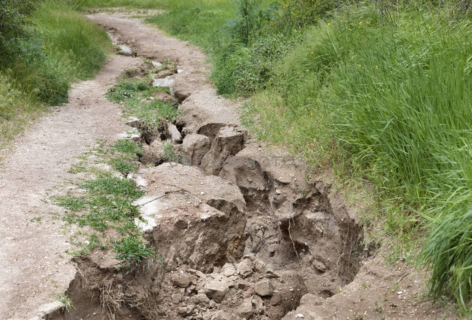 Erosion, destruction of soil on a mountain path after heavy rain among green vegetation.