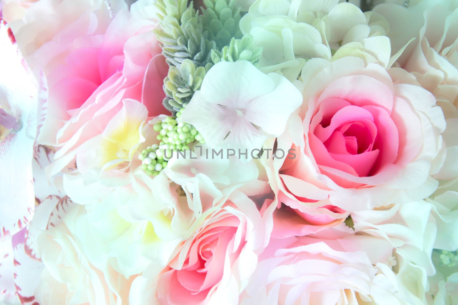 pink rose beautiful flowers made with color filters
