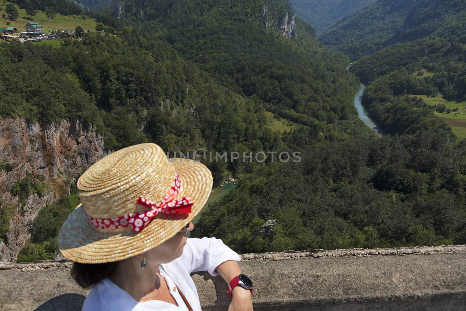 A young woman in a white blouse and straw hat watches the mountain river flowing among the stone gorge.