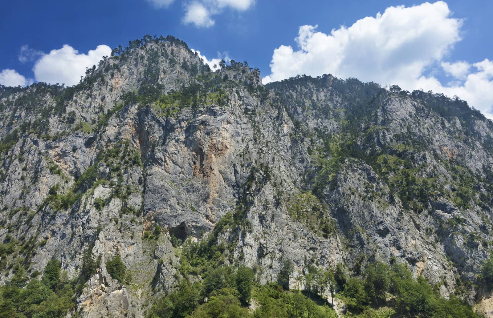 A view of the high rocky mountain of Montenegro covered with tall, but rare trees.