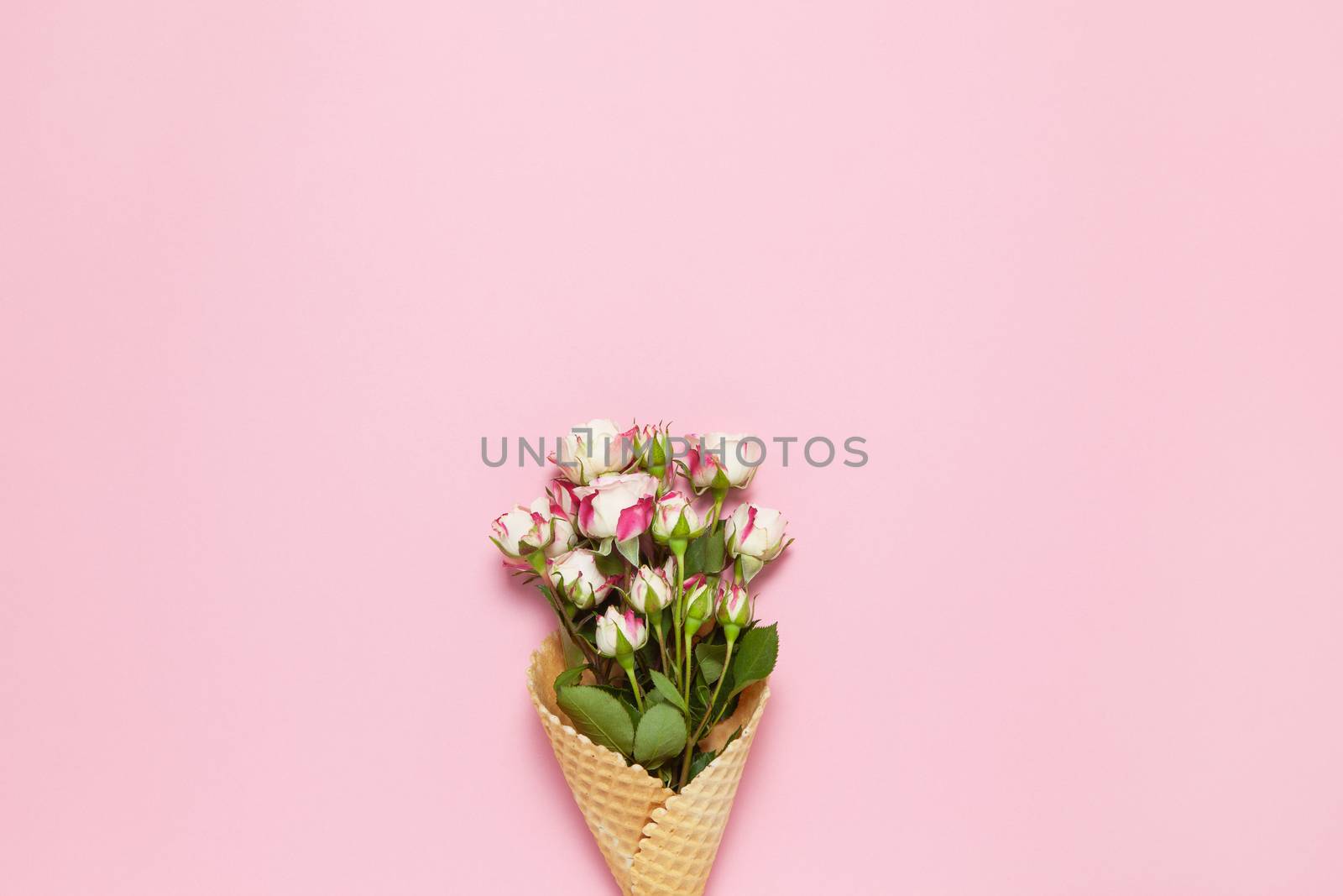 Small roses in waffle cone on pink background, copy space. Minimal style flat lay. For greeting card, invitation. March 8, February 14, birthday, Valentine's, Mother's, Women's day concept. Top view.