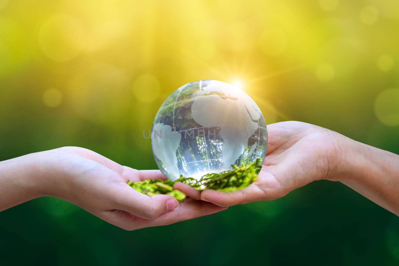 Concept Save the world save environment The world is in the grass of the green bokeh background