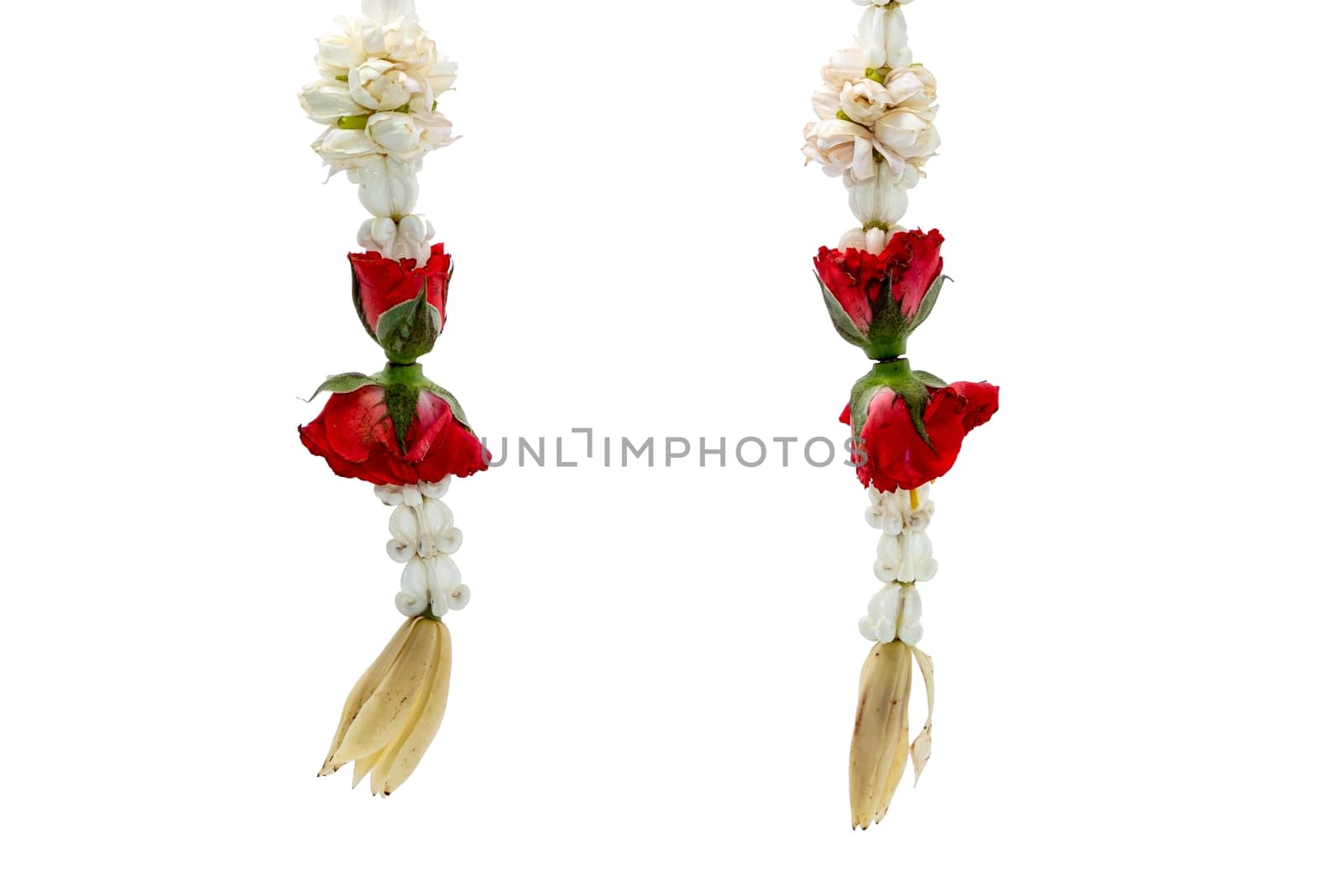 Colorful Thai garland flower from red roses,White Champaka,Dahlia and Jasmine flowers on white background by peerapixs