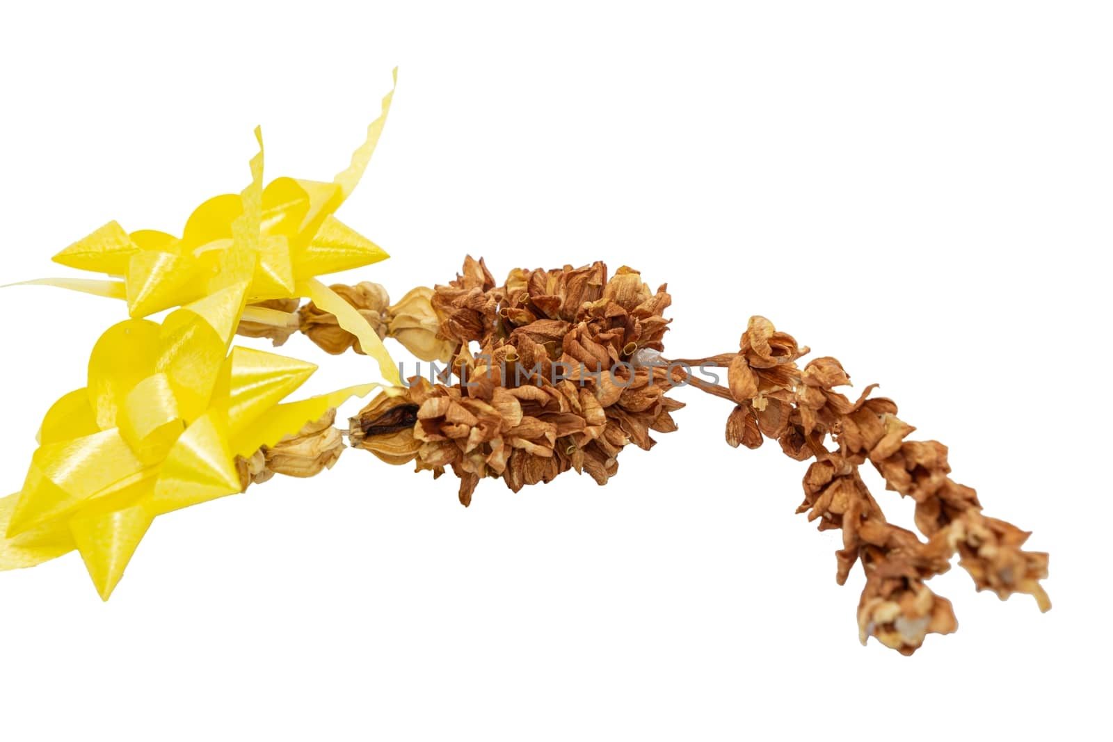 Old Thai garland flower from Jasmine flowers and yellow ribbon on white background and space for put the text by peerapixs