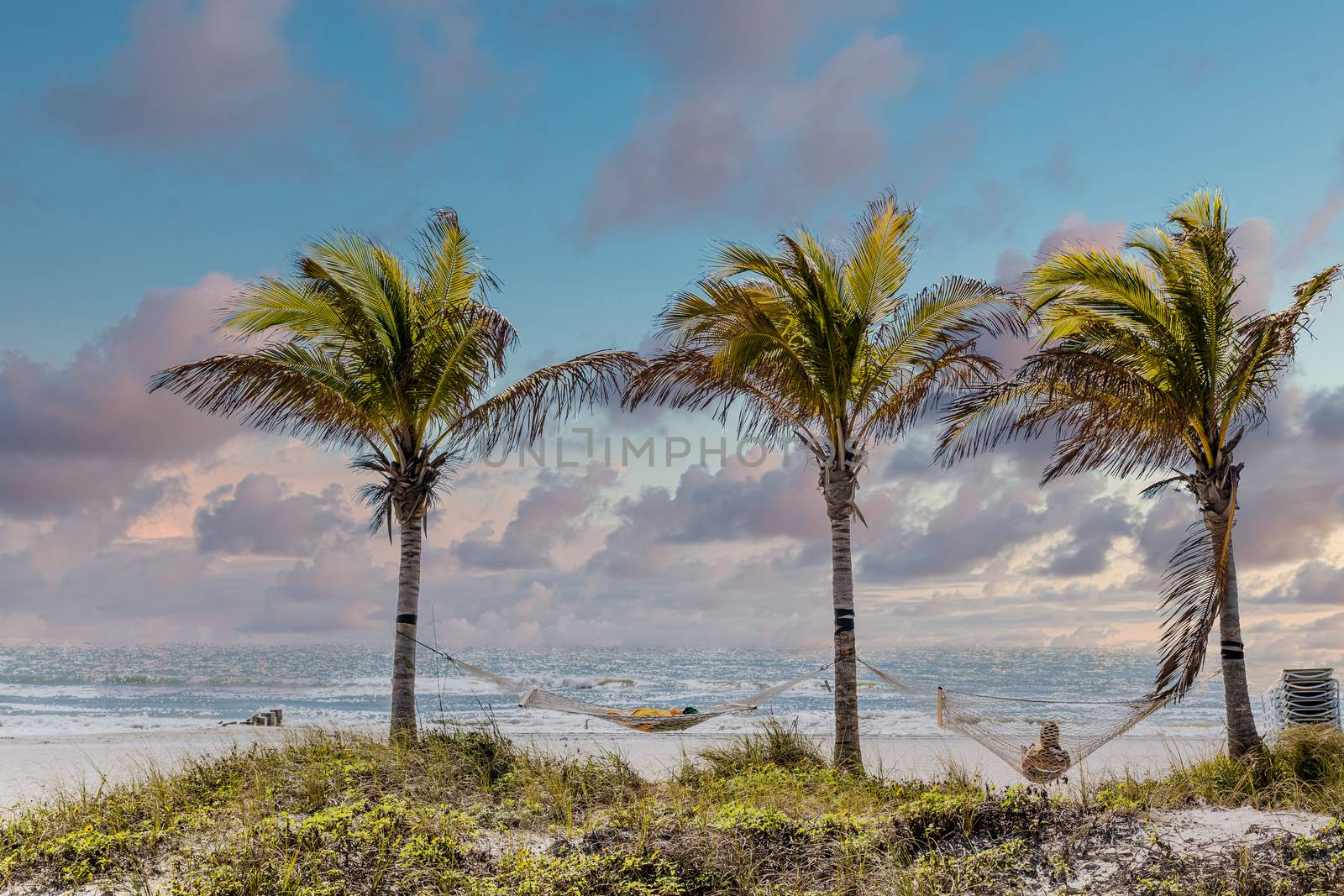 Hammocks and Palm Trees on the Beach