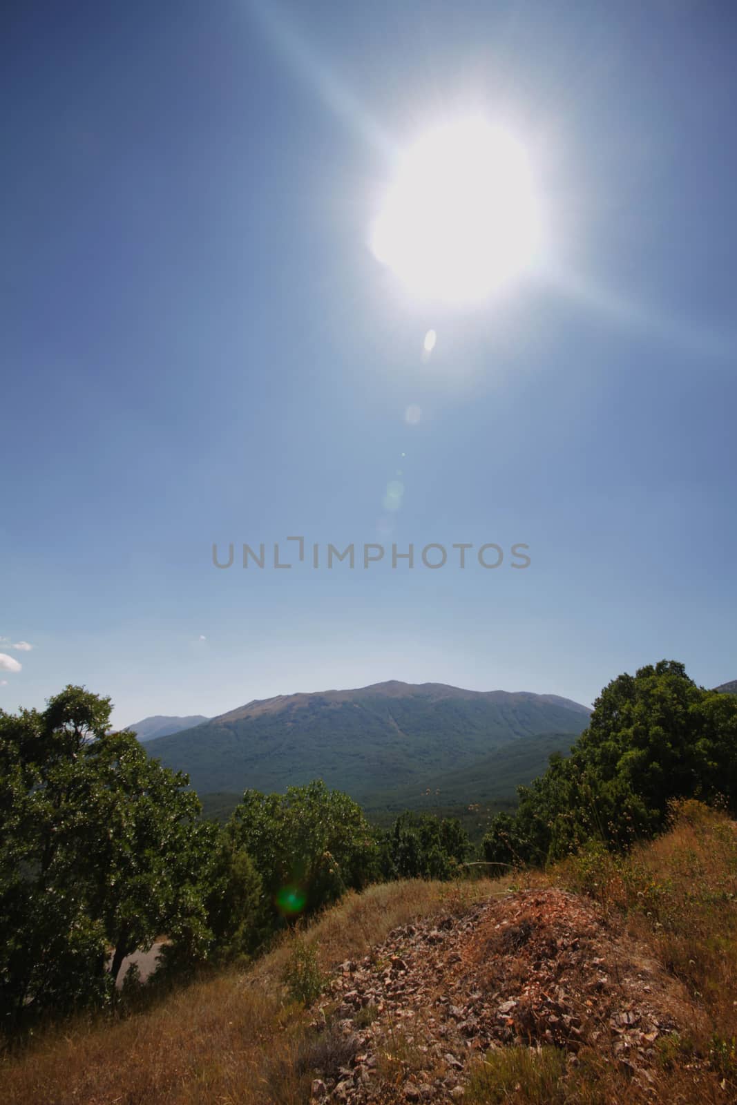 natural landscape panorama in day