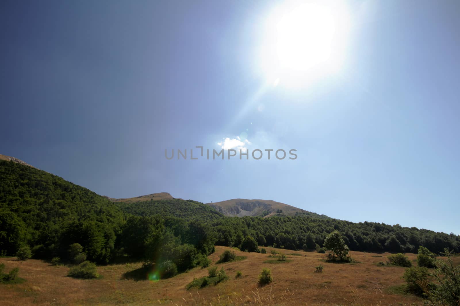natural landscape panorama in day