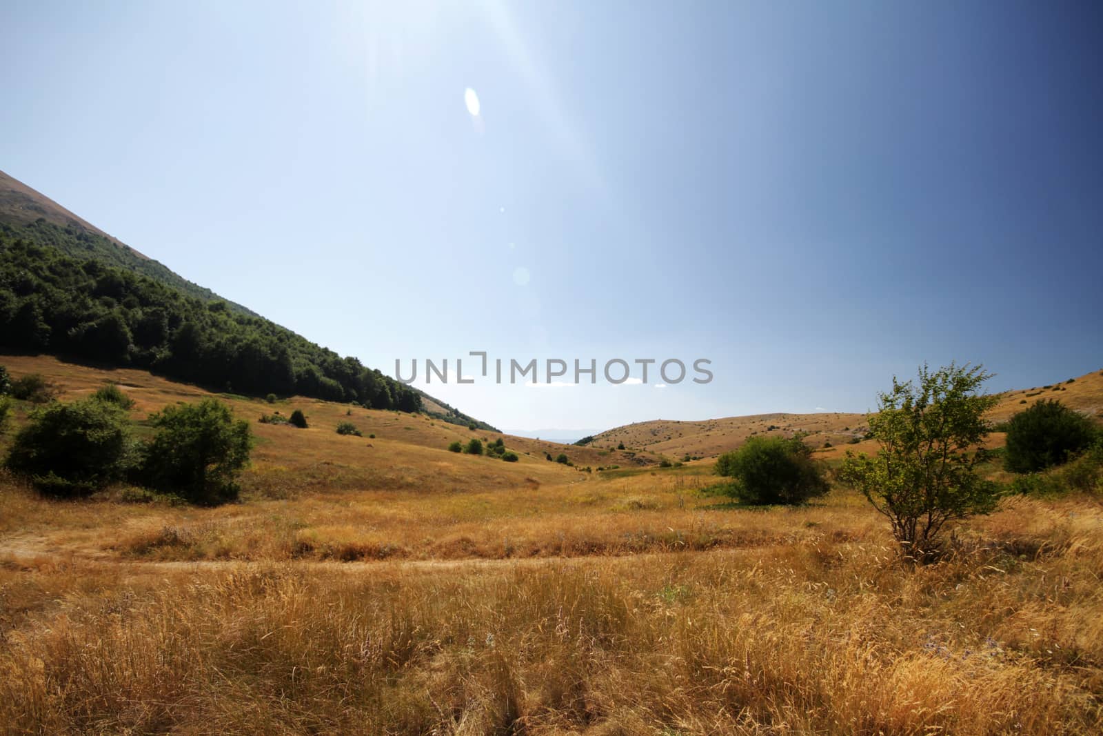 natural landscape panorama in day