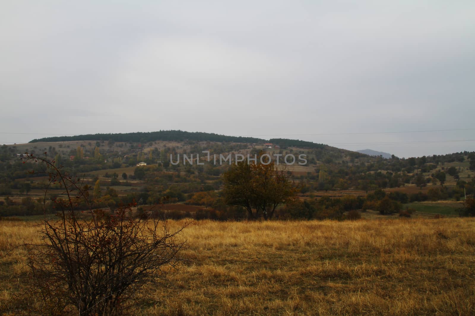 natural landscape panorama in day
