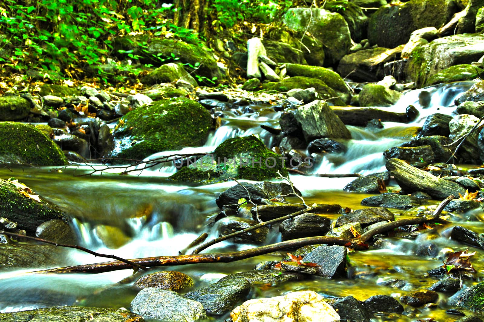 stream in forest long exposition