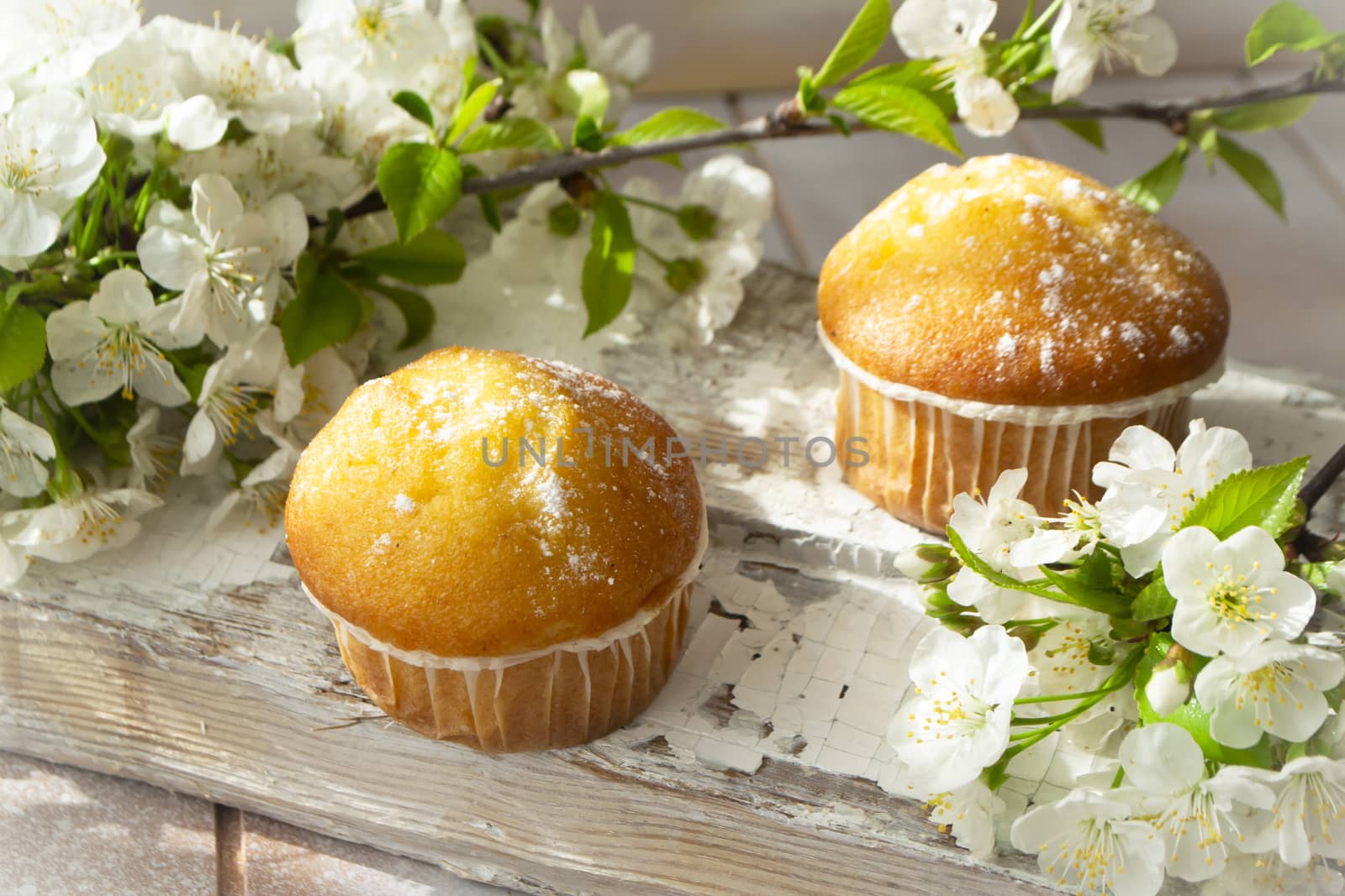 Mini muffins with cherriy flowers closeup. Spring concept