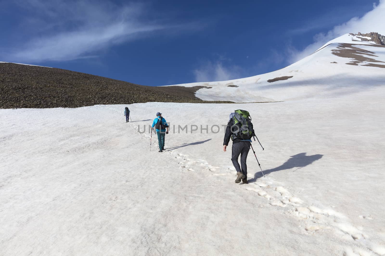 A group of tourists with backpacks goes hiking on a snowy mountain