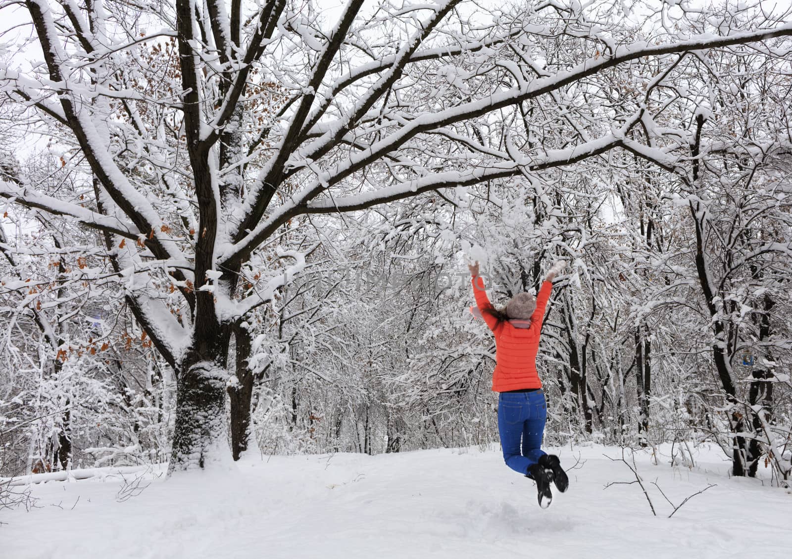A young beautiful girl in a bright coral jacket and blue jeans in the winter in a jump strolls through the snow-covered fairy-tale forest near the branchy snow-covered perennial oak.