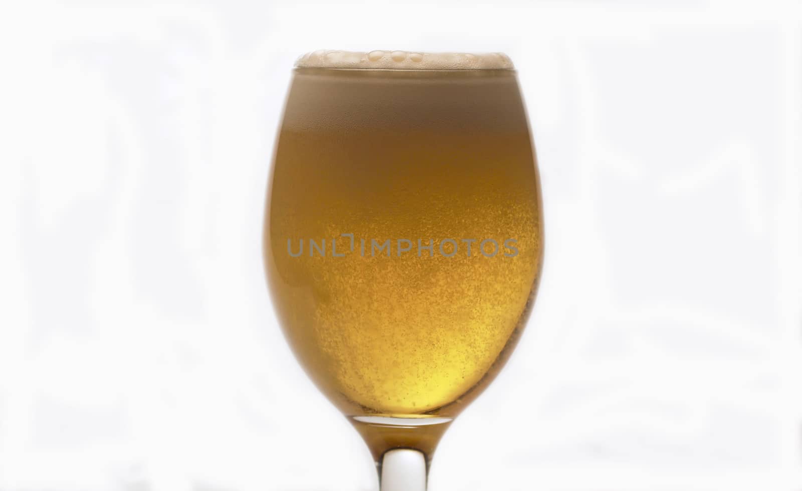 Close up of beer into transparent glass, side view, white background. Bubbles rising to the surface, froth