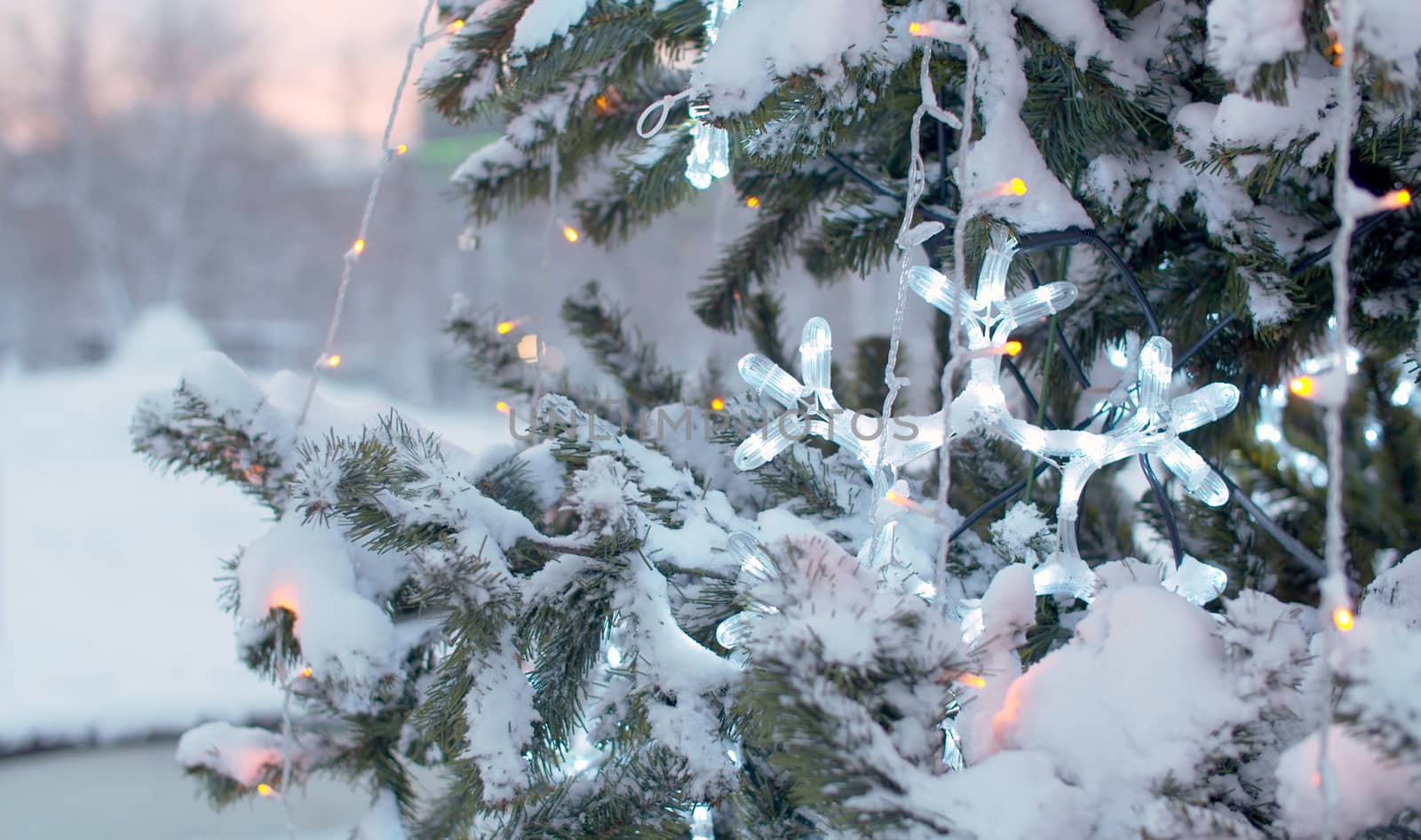 Close up snow covered branches of Christmas tree outdoors. Flickering lights of a garland. City holiday decorations. Snowfall in the city.
