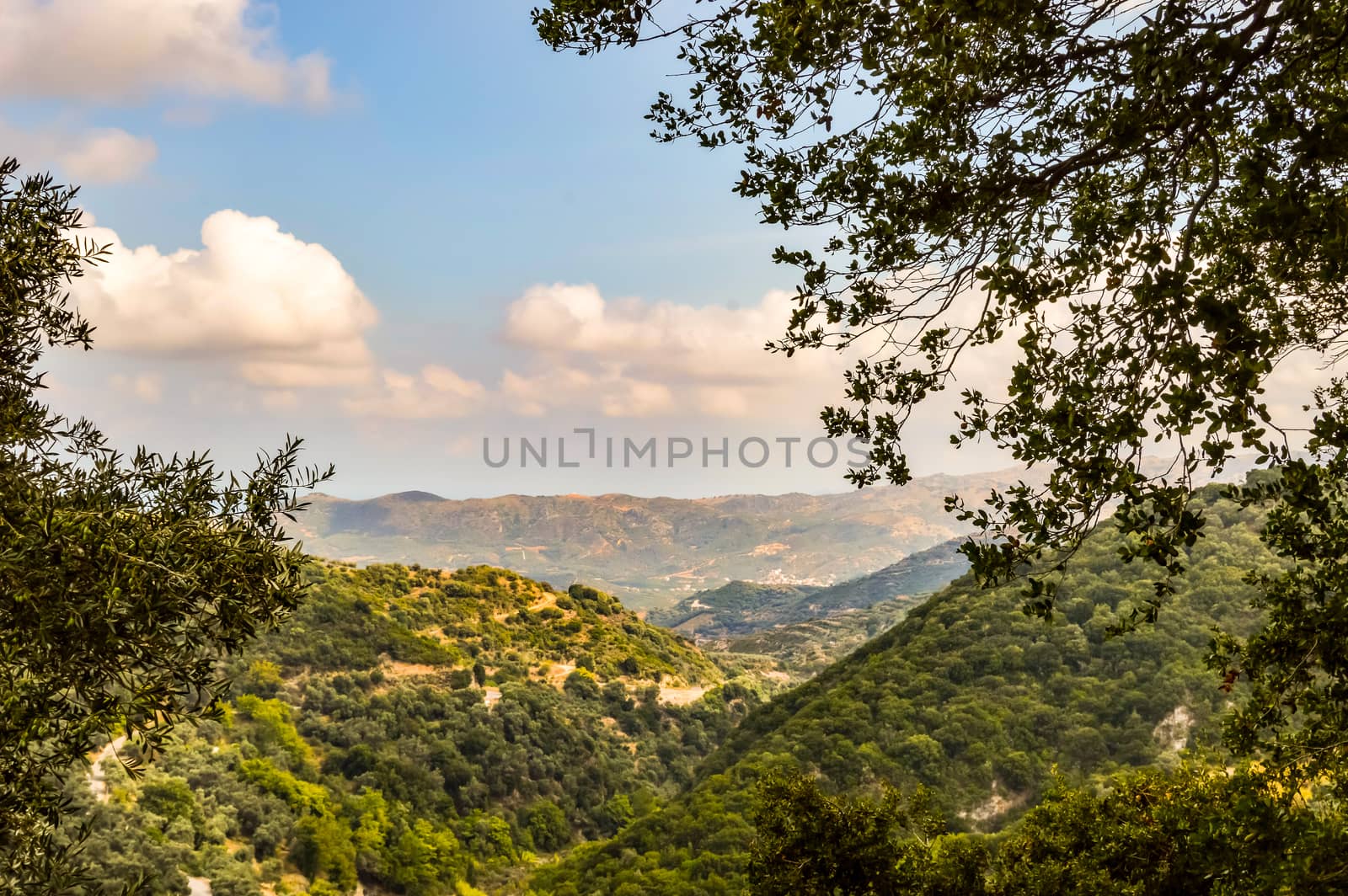 View of hills in Crete with trees in the foreground