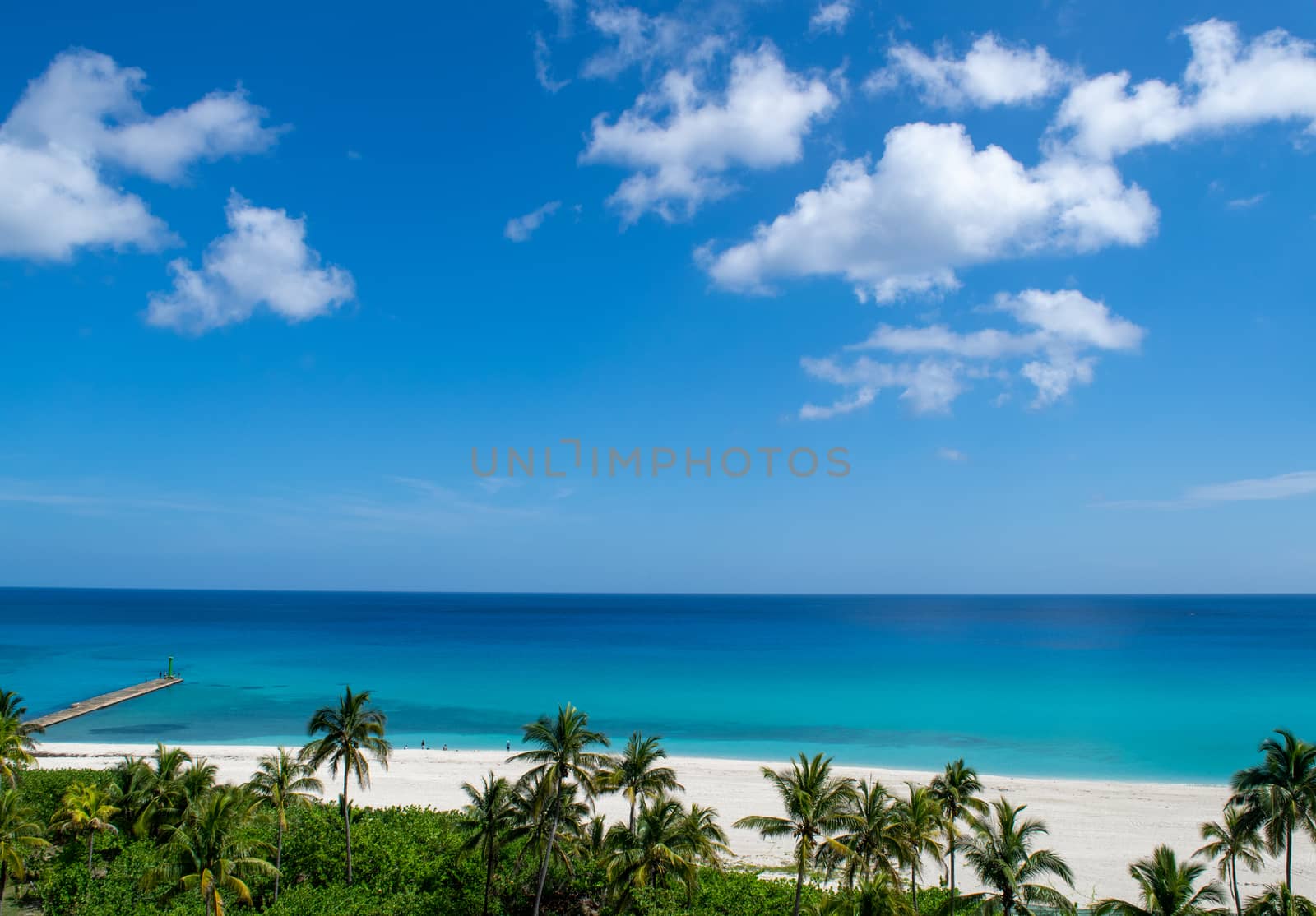 View of a beach and palms in a sunny day. In the beach are no one