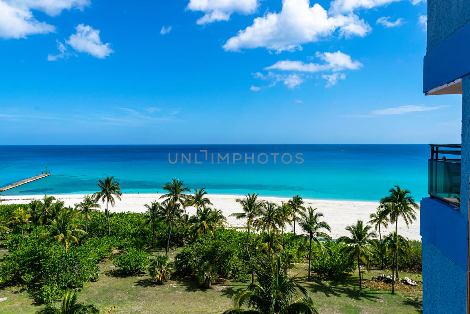 View of a beach and palms in a sunny day. In the beach are no one