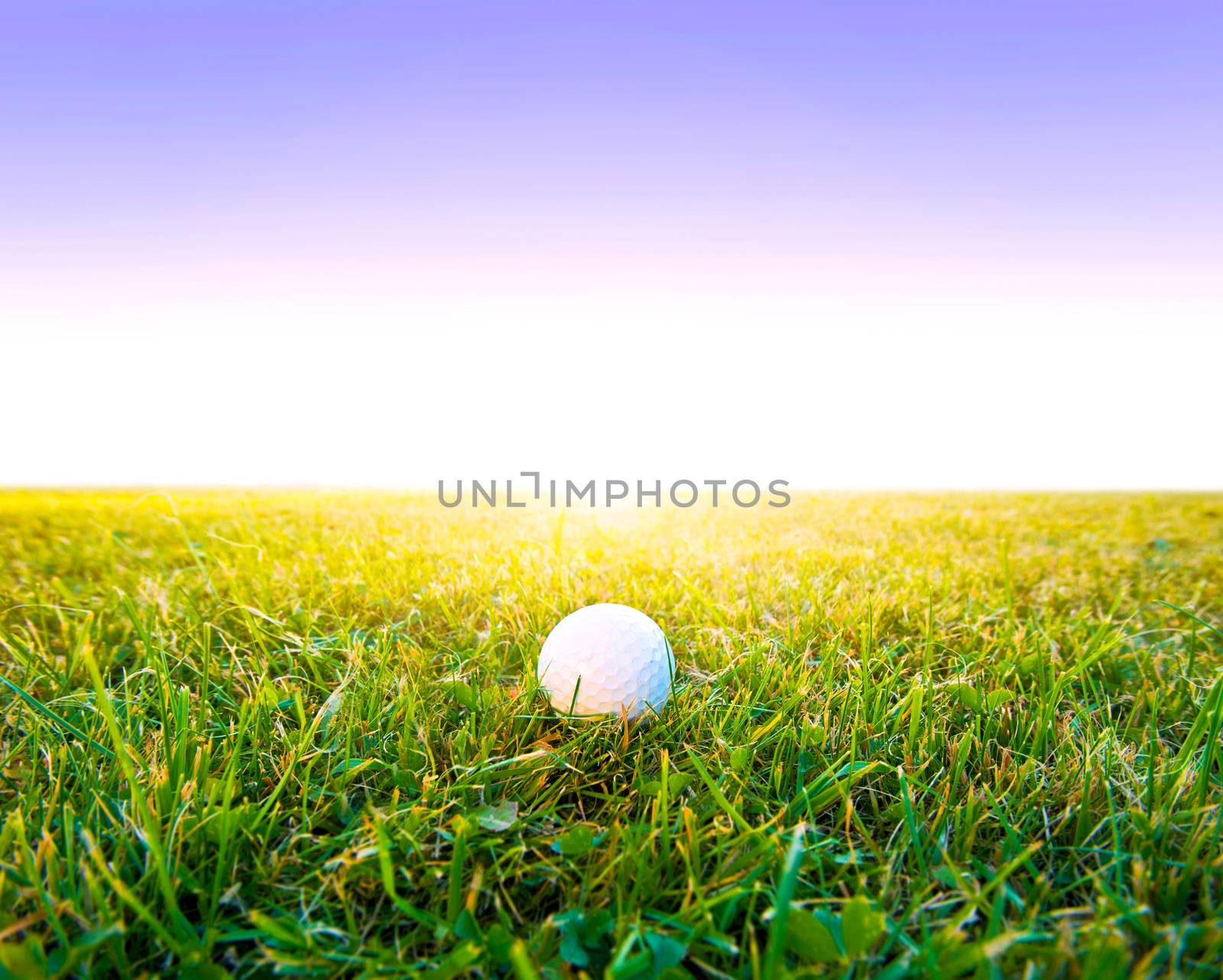 Golf game. Golf balls in grass.